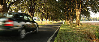 Allee
