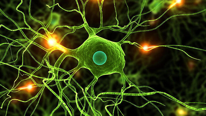 Darstellung von Neuronen, die Impulse übertragen