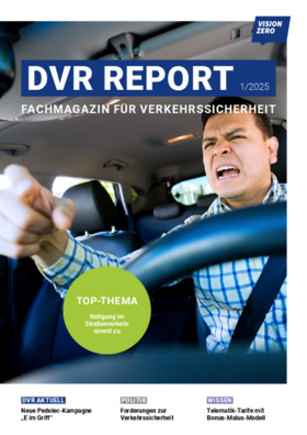 Vorschaubild der PDF-Datei