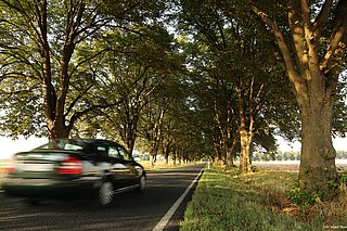 Bei sommerlichen Wetter fährt ein Auto auf einer Landstraße, die von beiden Seiten mit Bäumen umsäumt ist. Das Auto ist verwischt dargestellt, aufgrund der gefahrenen Geschwindigkeit.
