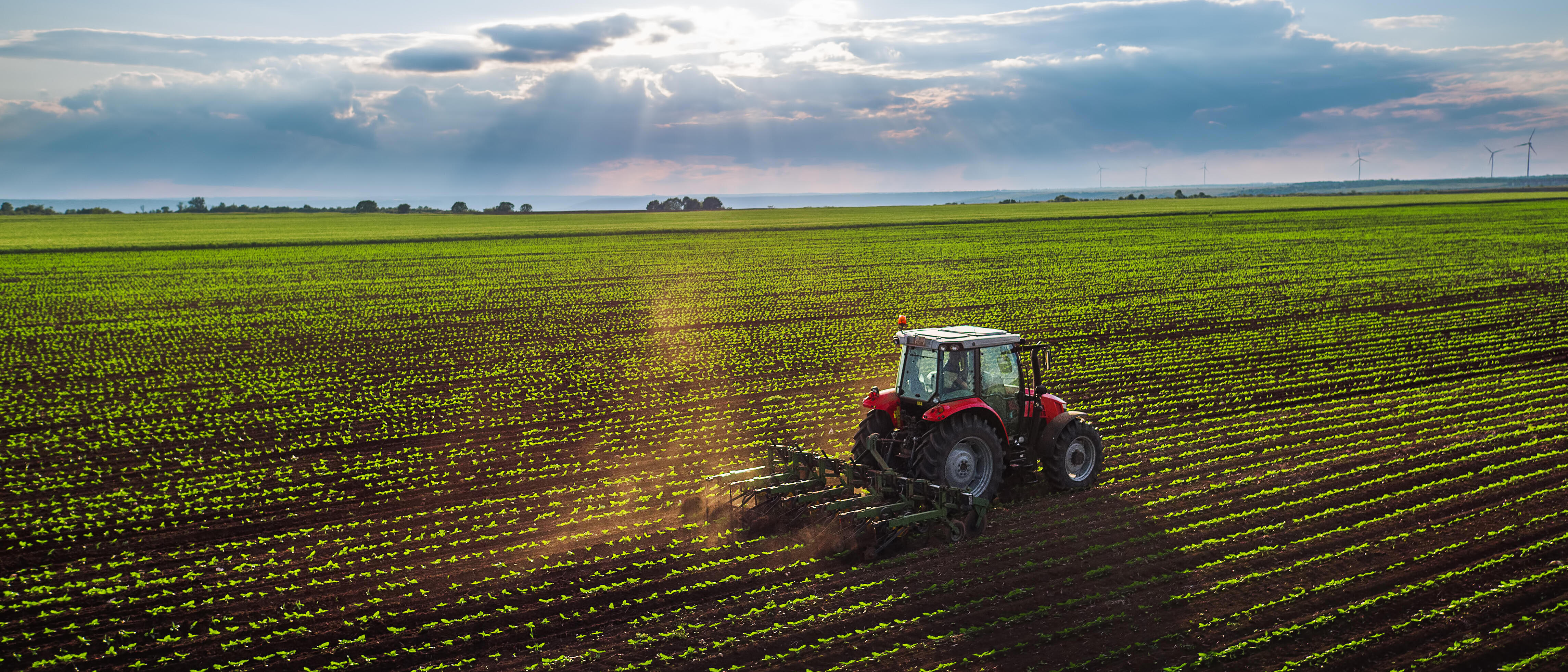 Tractor cultivating field at spring