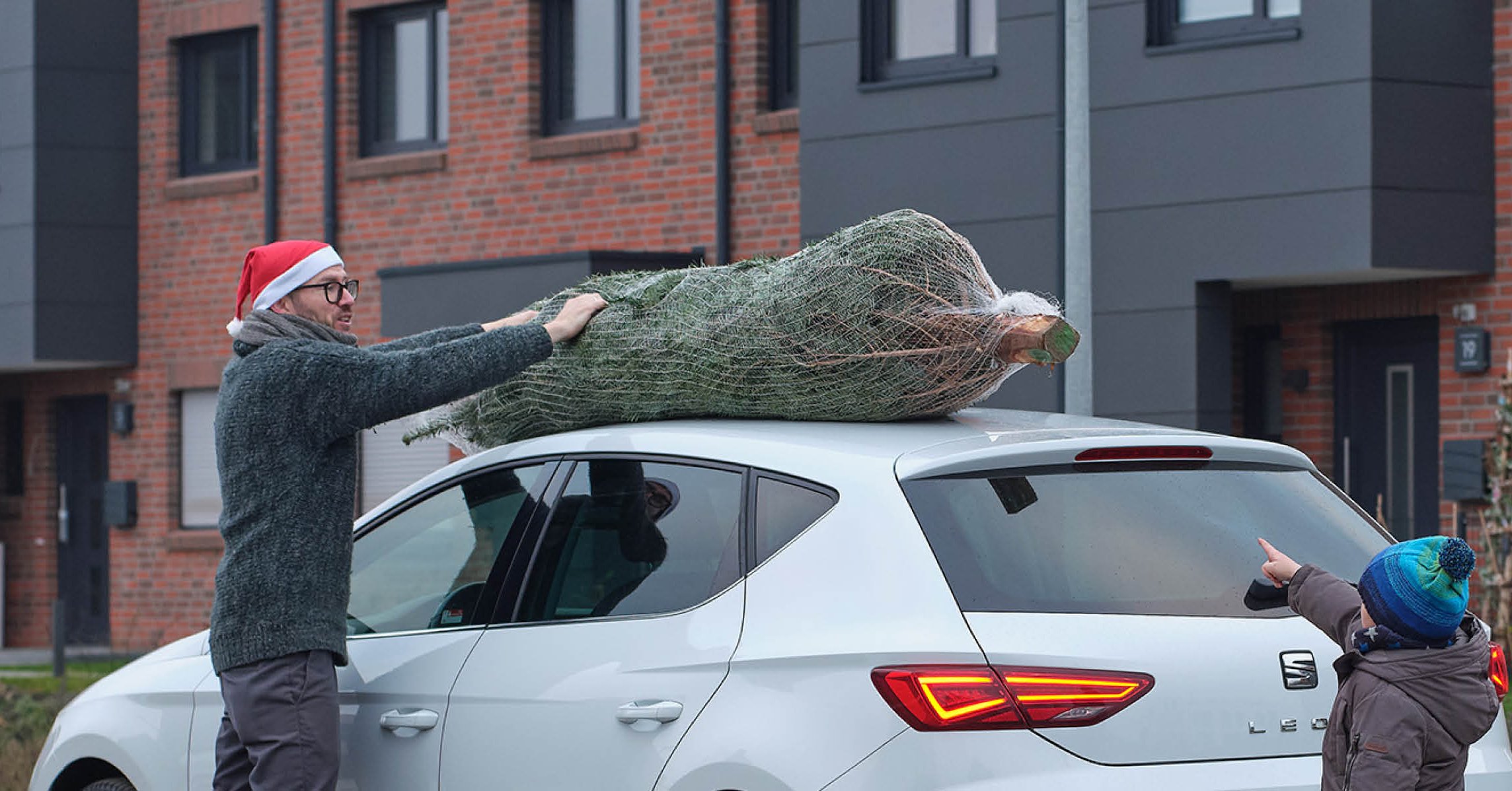 Tannenbaum sicher nach Hause bringen