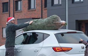 Ein Tannenbaum liegt auf dem Dach eines Autos