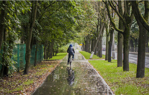 Auf einem gemeinsamen Fuß- und Radweg fährt eine Person auf dem Fahrrad. Der Boden ist nass und zahlreiche Blätter sind von den umstehenden Bäumen gefallen.