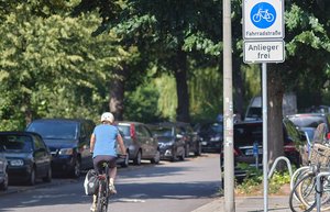 Ein Radfahrer von hinten. Er fährt in eine Fahrradstraße
