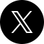 x icon