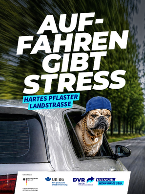 Vorschaubild der PDF-Datei „Hartes Pflaster Landstraße“ – Hund (PDF hoch, mit Logos)