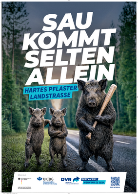 Vorschaubild der PDF-Datei „Hartes Pflaster Landstraße“ – Sau (DIN A1 Plakat)