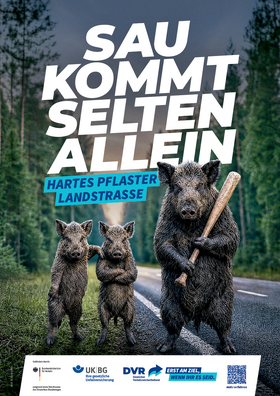 Vorschaubild der PDF-Datei „Hartes Pflaster Landstraße“ – Sau (DIN A4 Plakat)