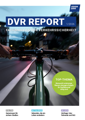 Vorschaubild der PDF-Datei