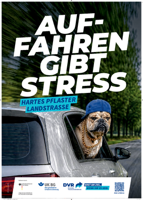 Vorschaubild der PDF-Datei „Hartes Pflaster Landstraße“ – Hund (DIN A1 Plakat)