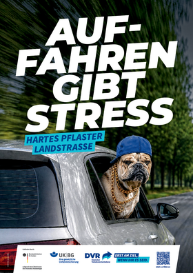 Vorschaubild der PDF-Datei „Hartes Pflaster Landstraße“ – Hund (DIN A4 Plakat)