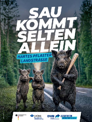 Vorschaubild der PDF-Datei