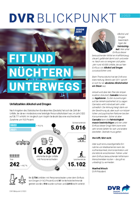Vorschaubild der PDF-Datei DVR Blickpunkt zur Fahrtauglichkeit