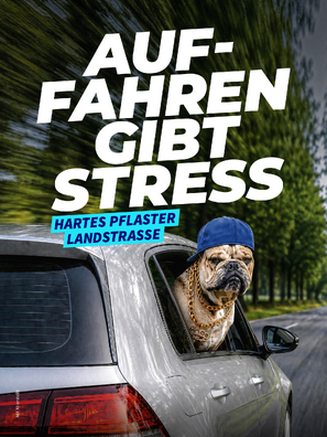 Vorschaubild der PDF-Datei „Hartes Pflaster Landstraße“ – Hund (PDF hoch, ohne Logos)