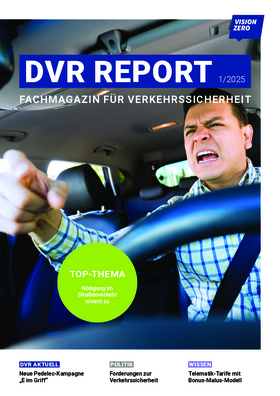Vorschaubild der PDF-Datei