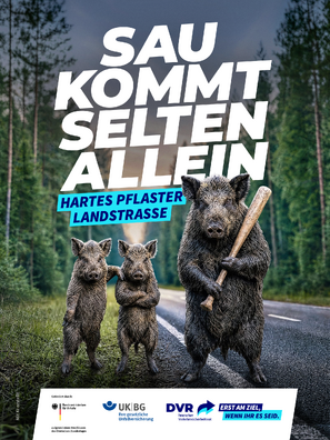 Vorschaubild der PDF-Datei „Hartes Pflaster Landstraße“ – Sau (PDF hoch, mit Logos)
