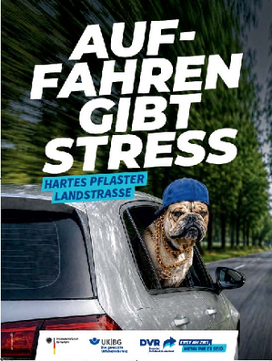 Vorschaubild der PDF-Datei